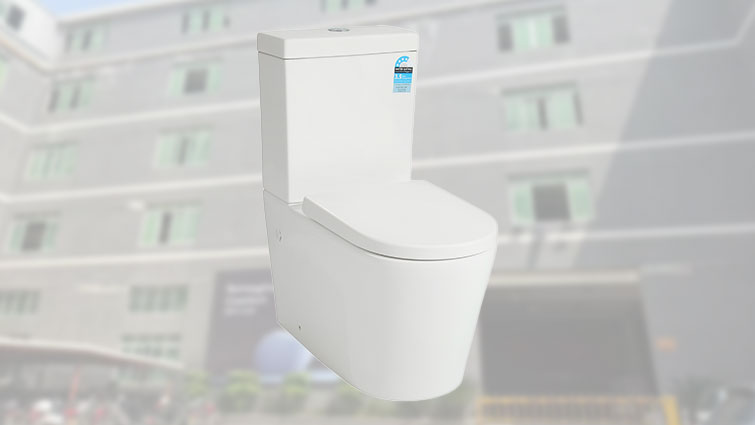 Ceramic Sanitary Ware