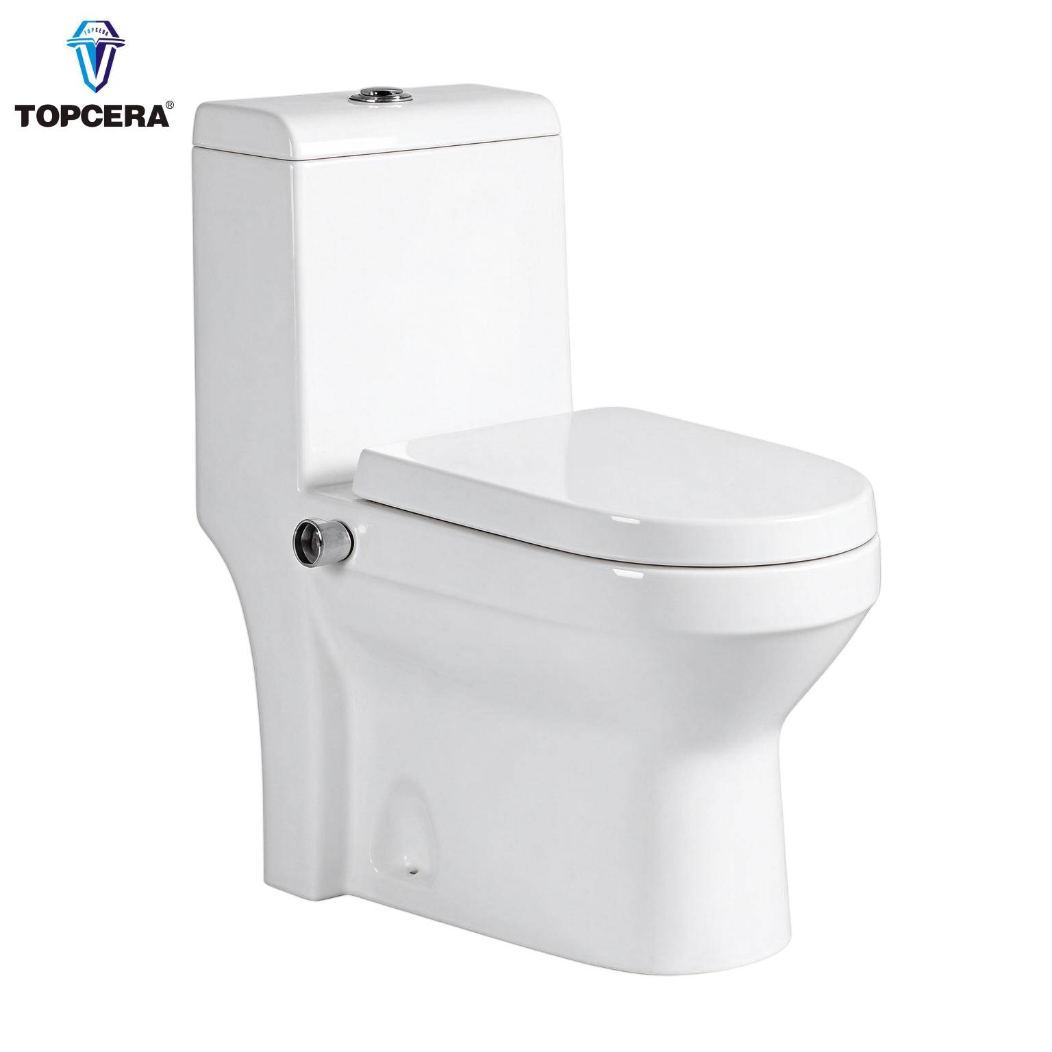 Floor-mounted washdown toilet, floor or wall outlet optional